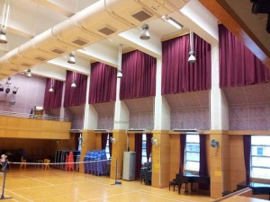 Hall side curtains (Logos Primary)