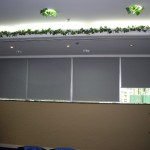 Roller blinds with blackout (Empier Centre)