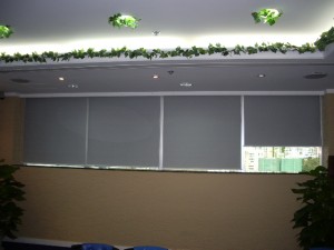 Roller blinds with blackout (Empier Centre)