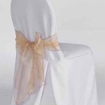 chair cover 04